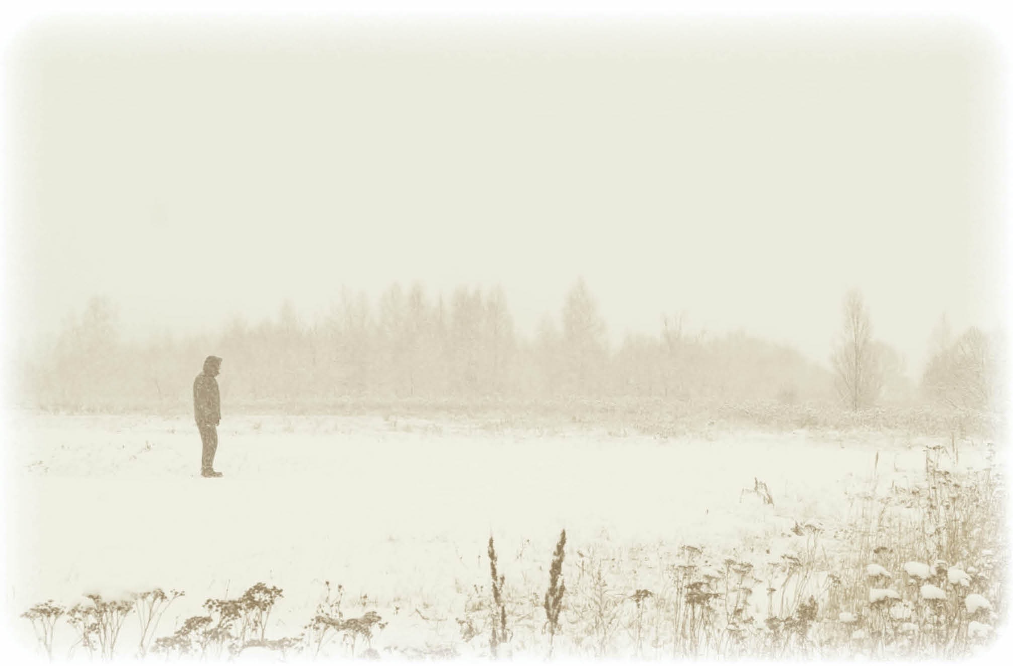 David Agnew’s Last Stand: A Struggle Against Nature’s Fury