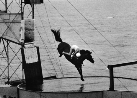 The Dangerous Art of Diving Horses